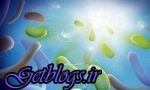 کشف نوعی باکتری که اکسیژن مریخ را فراهم می‌کند